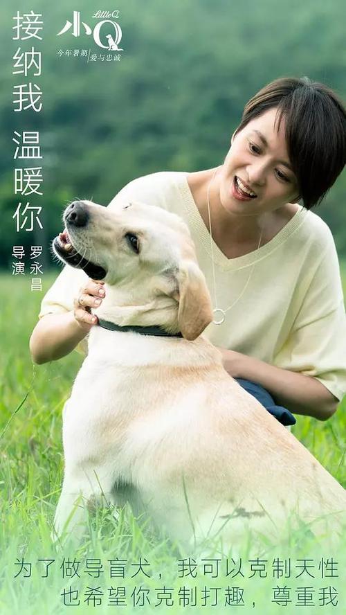 叶史瓦大学文凭